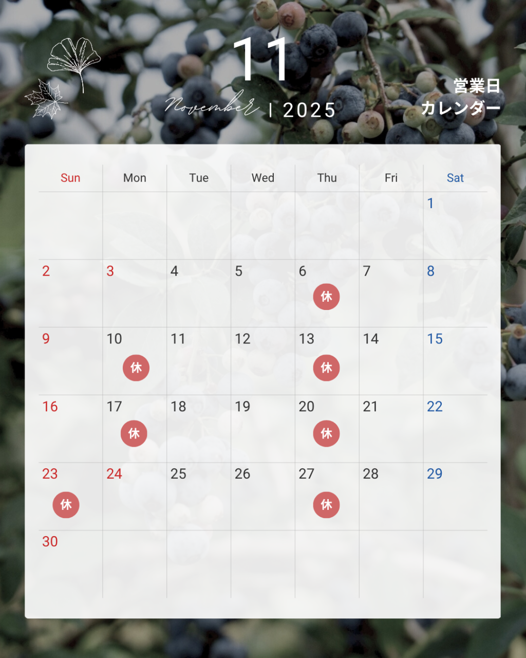 モノトーン シンプル 営業日 予約状況 カレンダー 2025年  11月 12月 Instagram投稿.zip - 1