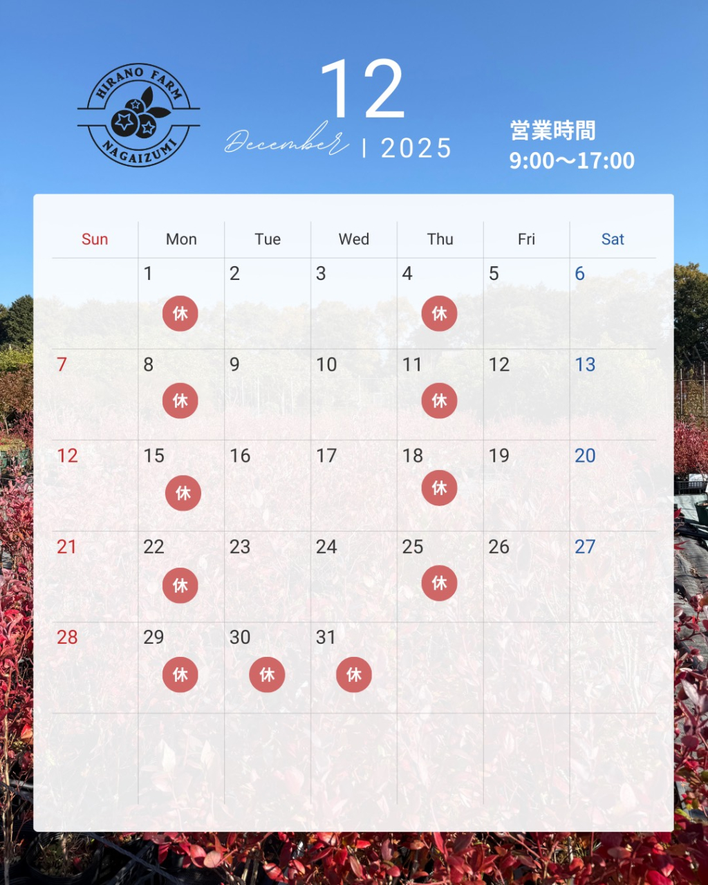 モノトーン シンプル 営業日 予約状況 カレンダー 2025年 11月 12月 Instagram投稿 - 2