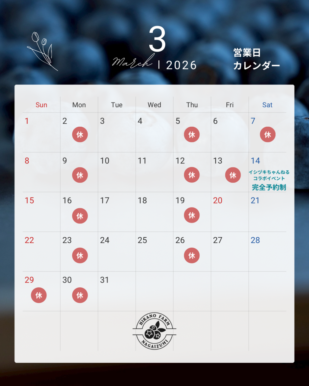 モノトーン シンプル 営業日 予約状況 カレンダー 2025年  11月 12月 Instagram投稿