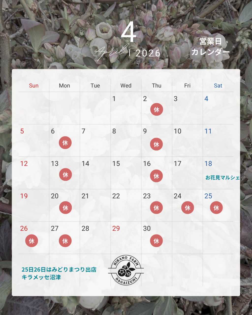 モノトーン シンプル 営業日 予約状況 カレンダー 2025年  11月 12月 Instagram投稿 (1)