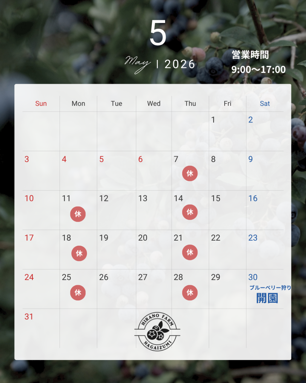 モノトーン シンプル 営業日 予約状況 カレンダー 2025年  11月 12月 Instagram投稿